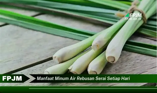 manfaat minum air rebusan serai setiap hari