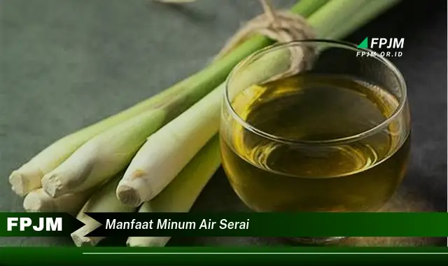 manfaat minum air serai manfaat minum air serai