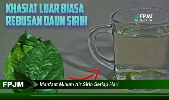 manfaat minum air sirih setiap hari manfaat minum air sirih setiap hari