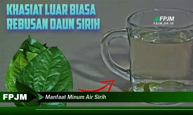 manfaat minum air sirih