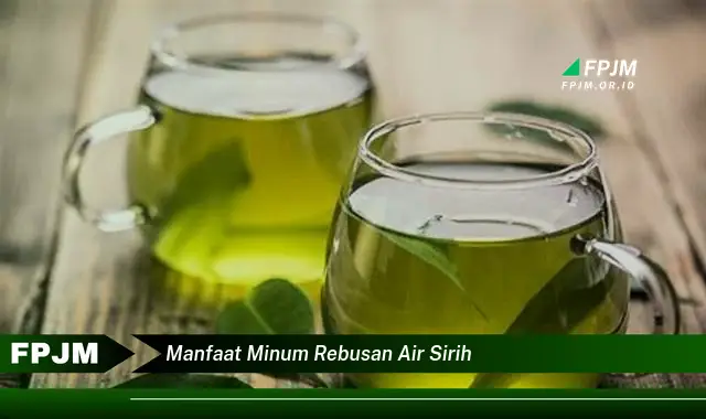 manfaat minum rebusan air sirih