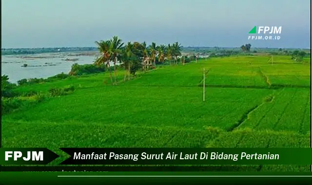 manfaat pasang surut air laut di bidang pertanian manfaat pasang surut air laut di bidang pertanian