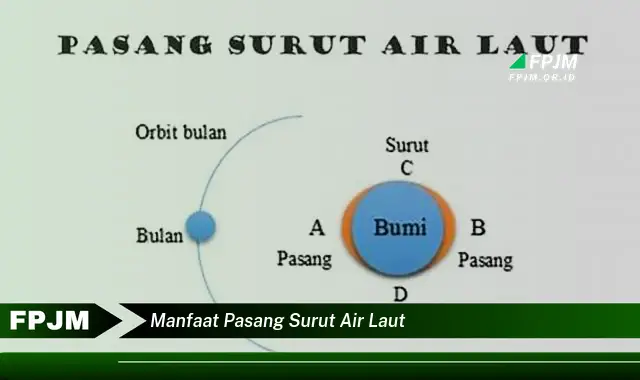 manfaat pasang surut air laut