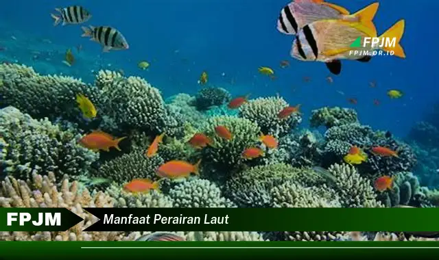 manfaat perairan laut