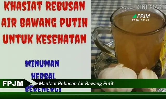 manfaat rebusan air bawang putih