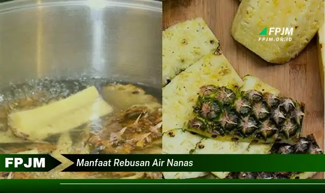 manfaat rebusan air nanas manfaat rebusan air nanas