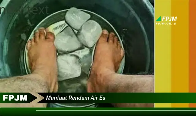 manfaat rendam air es