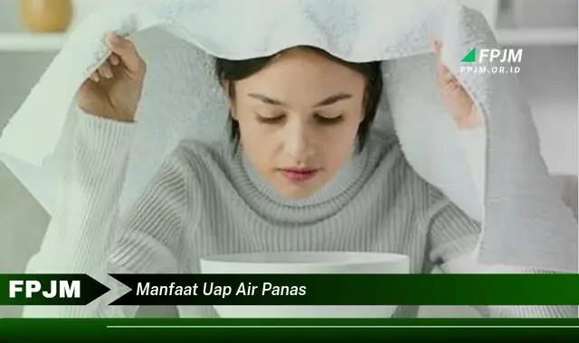 manfaat uap air panas