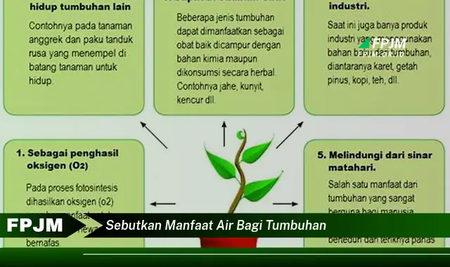 sebutkan manfaat air bagi tumbuhan