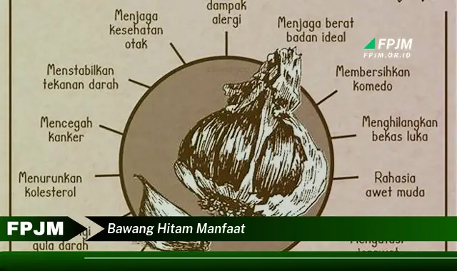 bawang hitam manfaat