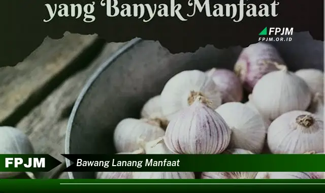 bawang lanang manfaat