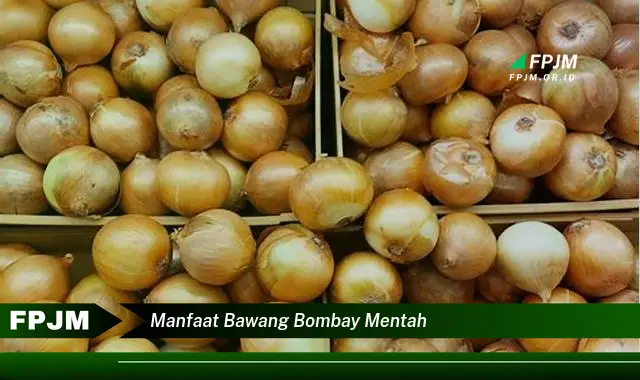 manfaat bawang bombay mentah