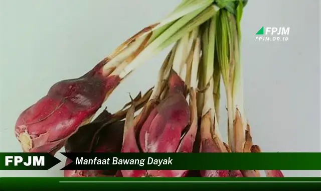 manfaat bawang dayak