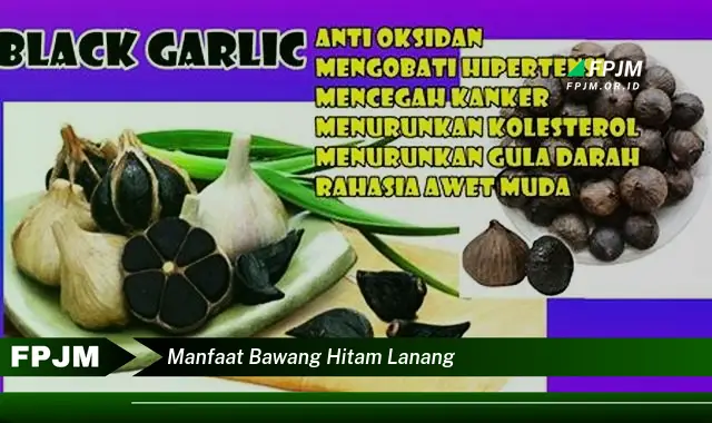 manfaat bawang hitam lanang