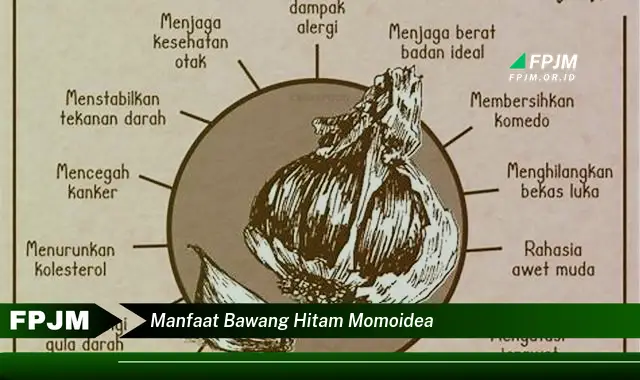manfaat bawang hitam momoidea manfaat bawang hitam momoidea