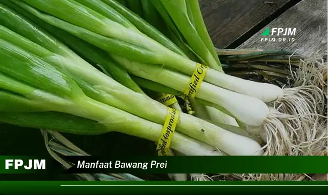 manfaat bawang prei