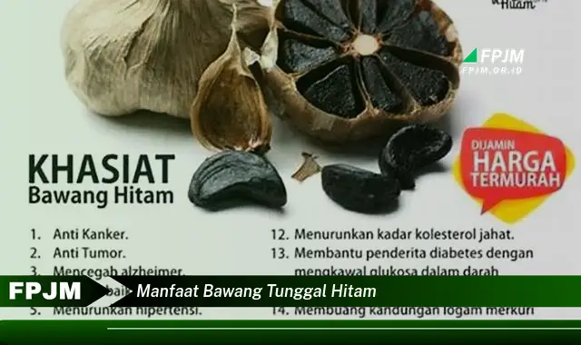manfaat bawang tunggal hitam