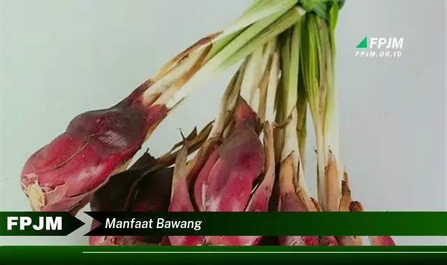 manfaat bawang