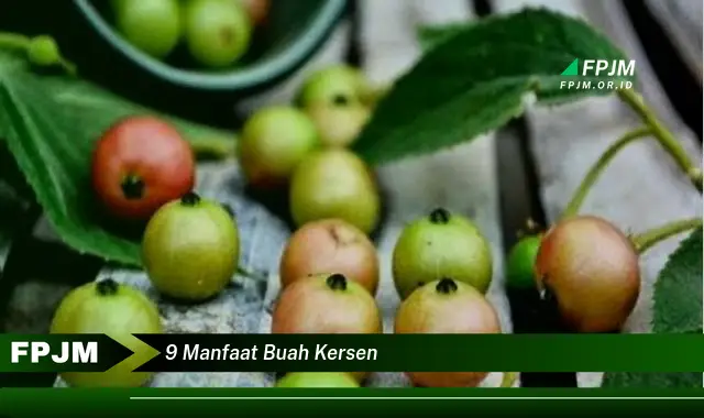 9 manfaat buah kersen