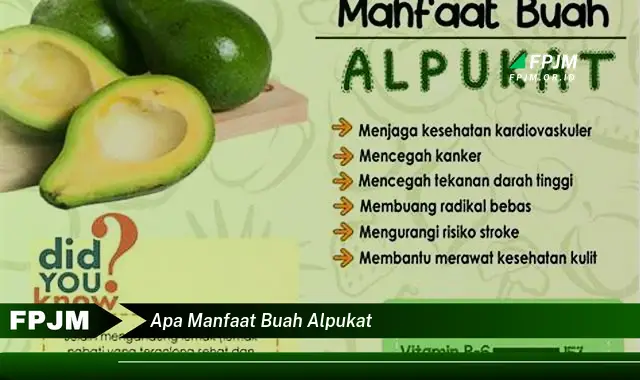 apa manfaat buah alpukat