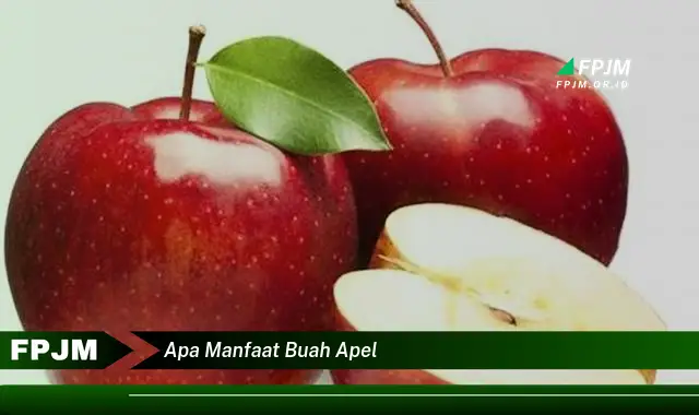 apa manfaat buah apel apa manfaat buah apel