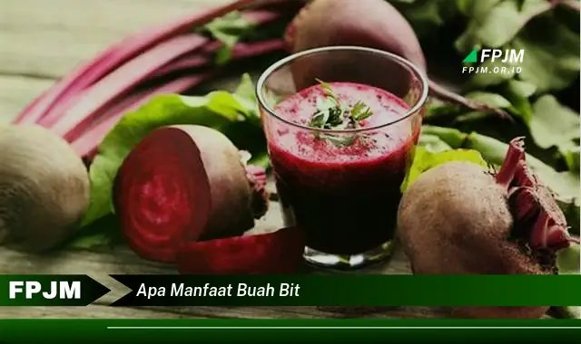 apa manfaat buah bit apa manfaat buah bit