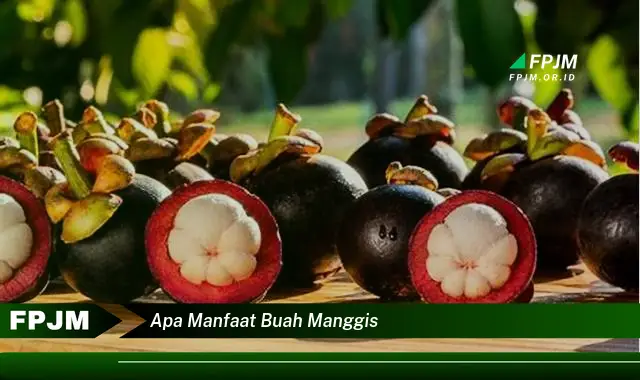 apa manfaat buah manggis apa manfaat buah manggis