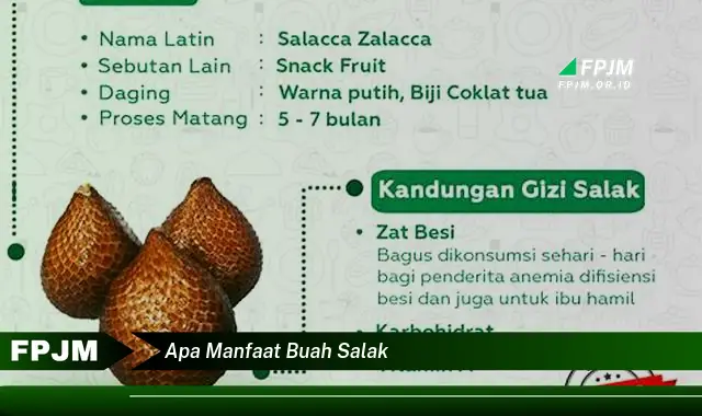 apa manfaat buah salak