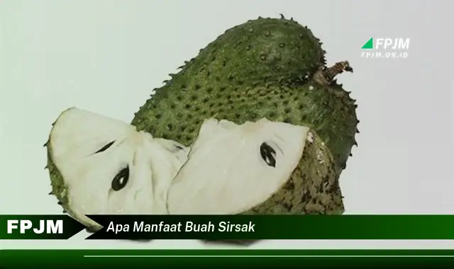 apa manfaat buah sirsak apa manfaat buah sirsak