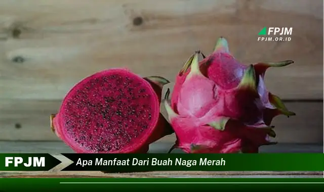 apa manfaat dari buah naga merah