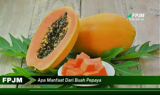 apa manfaat dari buah pepaya