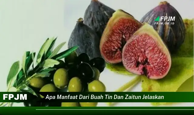 apa manfaat dari buah tin dan zaitun jelaskan