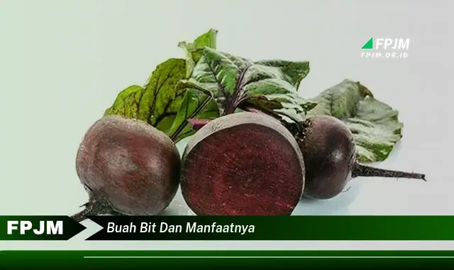 buah bit dan manfaatnya