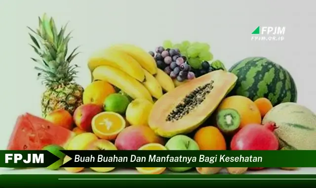 buah buahan dan manfaatnya bagi kesehatan buah buahan dan manfaatnya bagi kesehatan