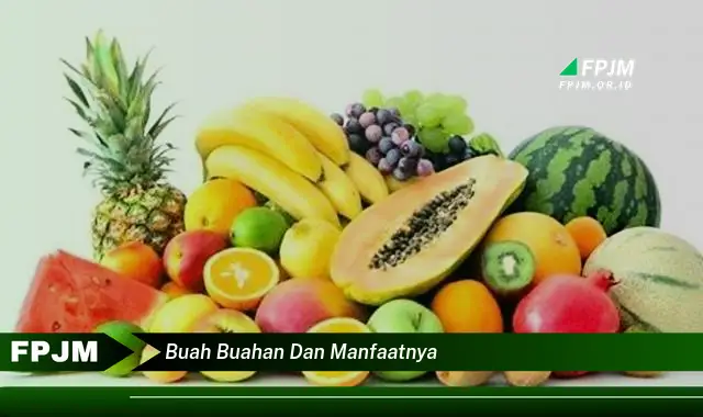 buah buahan dan manfaatnya