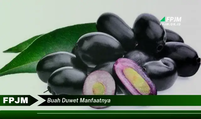 buah duwet manfaatnya