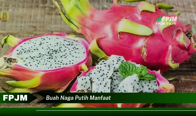 buah naga putih manfaat