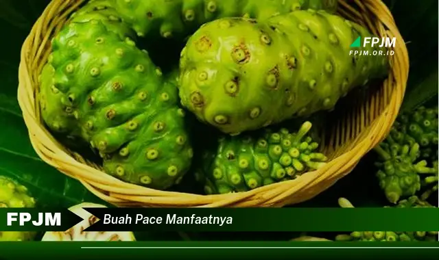 buah pace manfaatnya