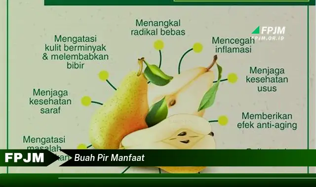 buah pir manfaat