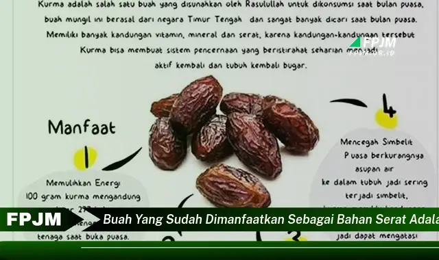 buah yang sudah dimanfaatkan sebagai bahan serat adalah