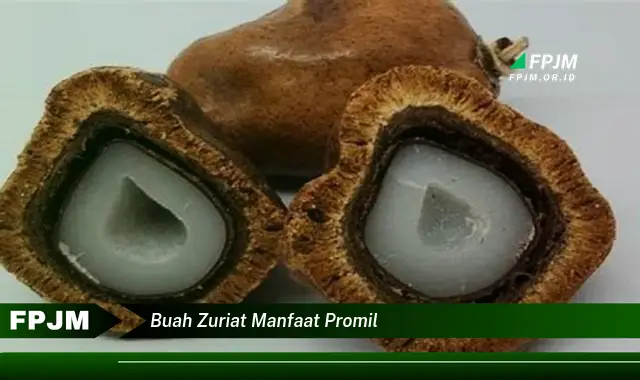 buah zuriat manfaat promil