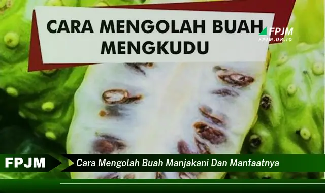 cara mengolah buah manjakani dan manfaatnya