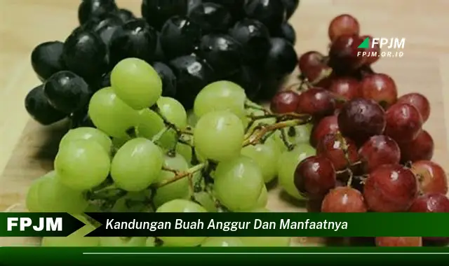 kandungan buah anggur dan manfaatnya kandungan buah anggur dan manfaatnya