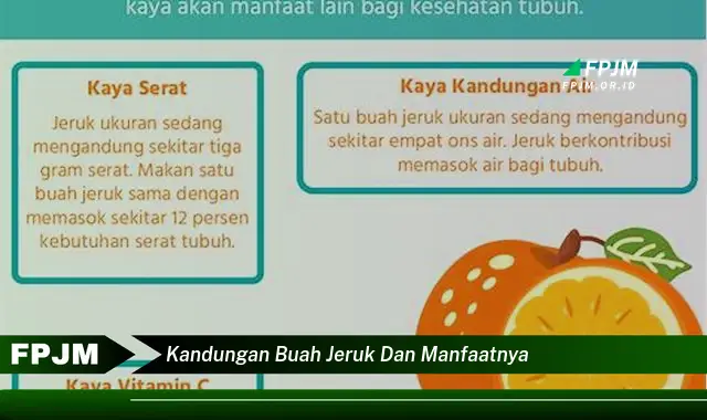 kandungan buah jeruk dan manfaatnya kandungan buah jeruk dan manfaatnya