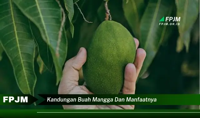 kandungan buah mangga dan manfaatnya