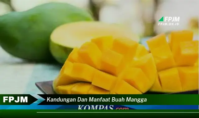 kandungan dan manfaat buah mangga