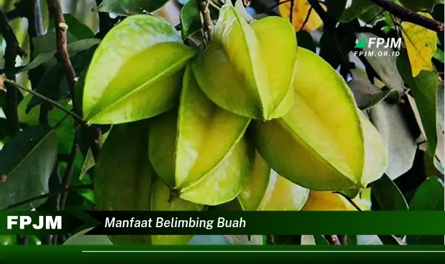 manfaat belimbing buah