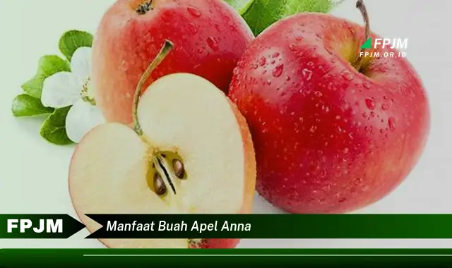 manfaat buah apel anna