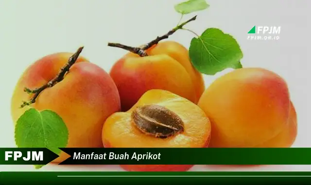 manfaat buah aprikot