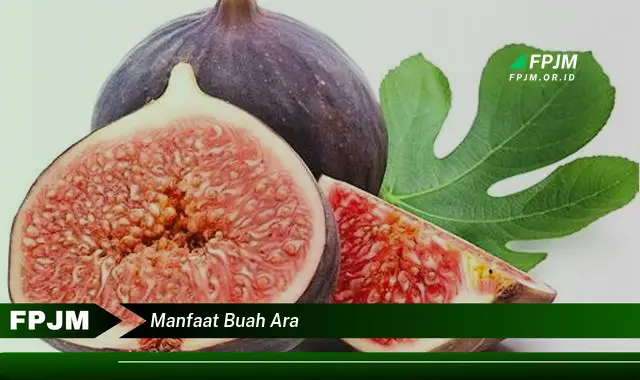 manfaat buah ara